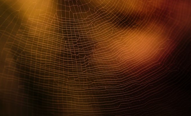 Паучий шелк. Одежда будущего?