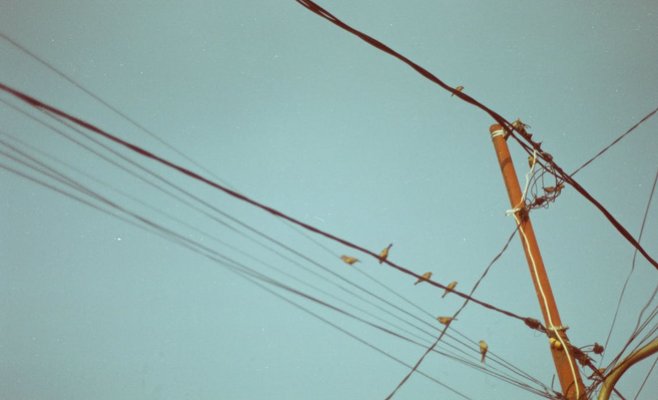 Почти 100 тысяч домохозяйств в Чехии остались без электричества из-за поваленных деревьев: ВИДЕО