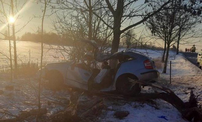 Водитель в ДТП  при столкновении с деревом не выжил