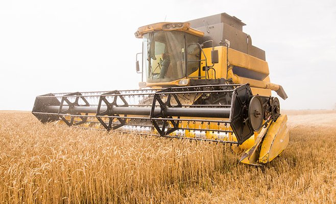 Прибыль чешского сельского хозяйства в прошлом году выросла на 142 процента до 22 миллиардов крон