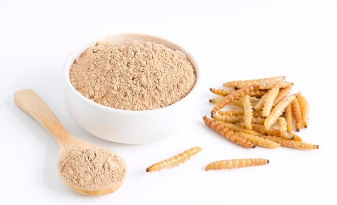 Италия выступает против муки из насекомых. Она будет продаваться на специальных полках