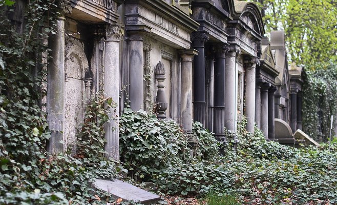 В Польше мужчина выкопал тело своей матери и жил с ним несколько лет