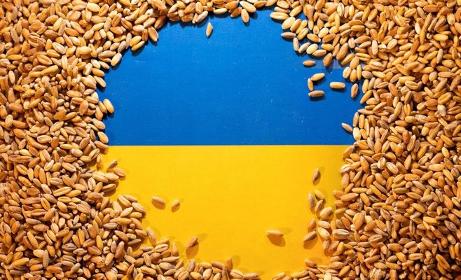 Проверенные образцы украинского зерна оказались в порядке