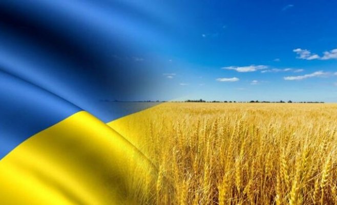 Зерно из Украины содержит пестициды. Словацкий комбинат должен его уничтожить