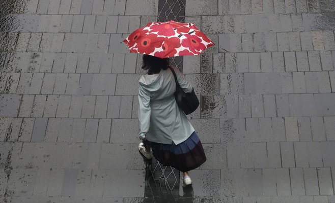 Солнечно до пятницы, в выходные ожидаются дожди, немного прохладнее