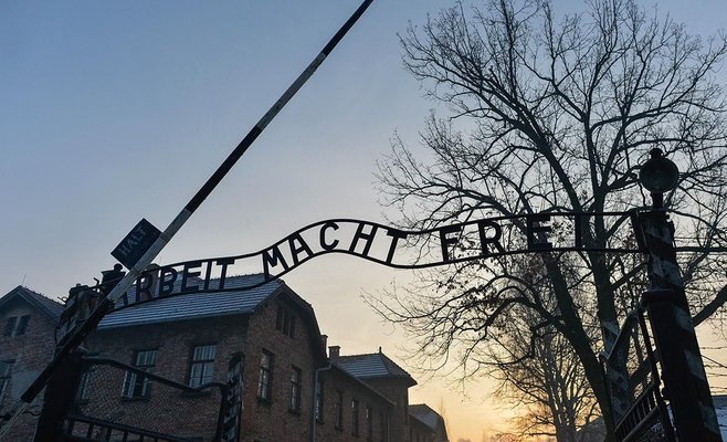 Немецкие дети совершили нацистское приветствие (зиганули) в Освенциме, они похвастались этим