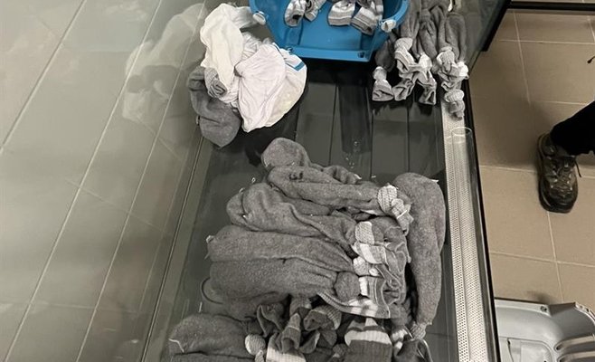 Рузынские таможенники обнаружили в чемодане 60 живых змей, а также черепах и гекконов 