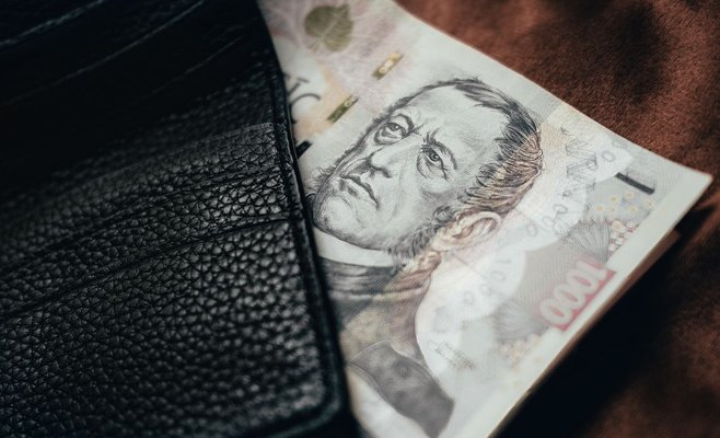 Невыплаченные долги чехов растут впервые за последние десятилетия