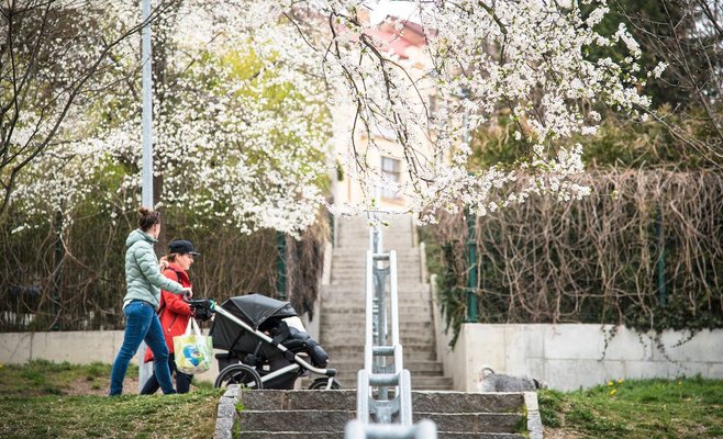 Население Чешской Республики увеличилось благодаря миграции