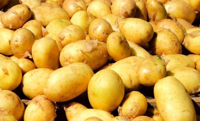 Ранний картофель в этом году стал дороже