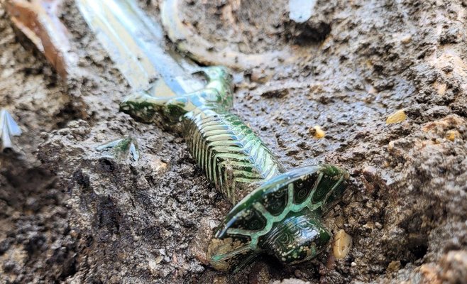 В Германии был найден меч бронзового века. Он до сих пор сверкает