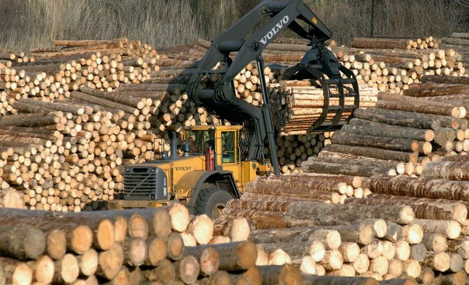 Военские леса и поместья Чешской Республики в прошлом году увеличили прибыль на 46 процентов