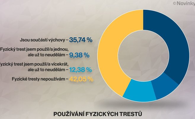 Почти 58 процентов чешских родителей применяют или применяли физические наказания