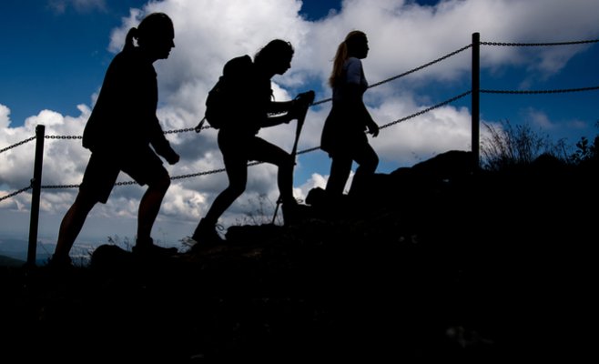 Фармацевты: В отпуск, лекарства от расстройства пищеварения, простуды или укусов насекомых