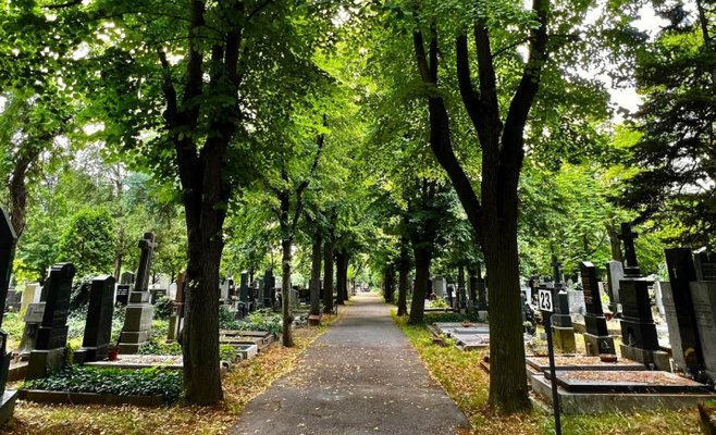 Будет жарко, приходите к нам охладиться, наши жители будут рады, пражские кладбища приглашают вас 