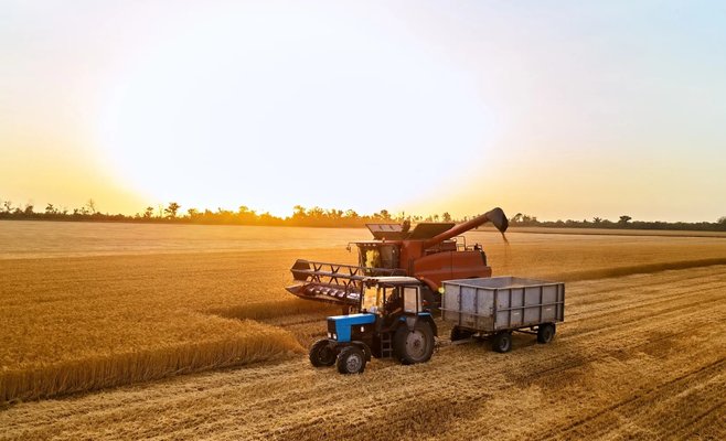 Аграрная палата хочет ввести эмбарго на импорт зерна из Украины