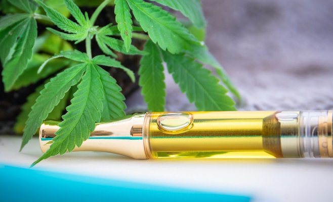 Легальные наркотики - это ловушка для чешских детей. Синтетическая марихуана запрещена везде, кроме Чехии