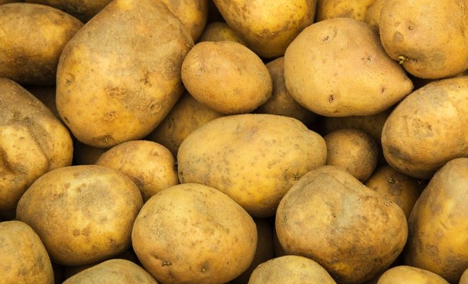 На Украине четыре человека погибли, отравившись картофельным газом. Она гнила в подвале