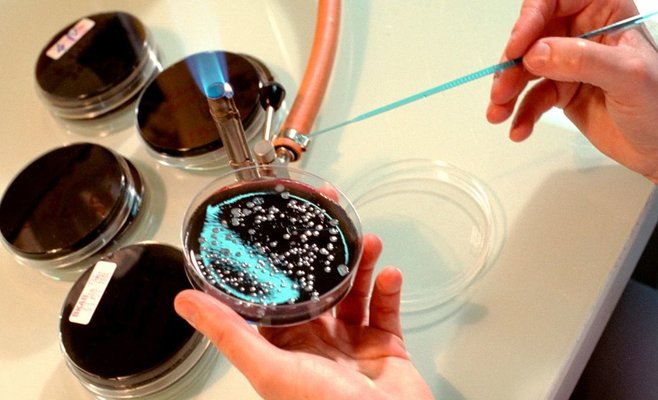 В польском городе Жешув распространяется болезнь легионеллез. Власти сообщают о 5 погибших и 76 инфицированных