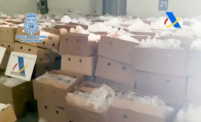 Рекордные 9,5 т кокаина обнаружены среди бананов в Испании