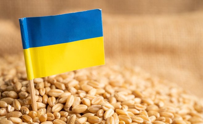 Пять стран ЕС, включая Словакию, хотят продлить запрет на импорт зерновых из Украины