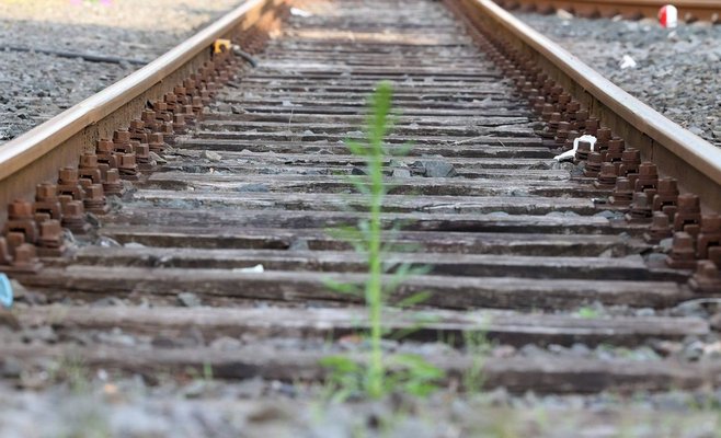 Украинский мальчик пытался спасти жизнь польской однокласснице. Он погиб под колесами поезда