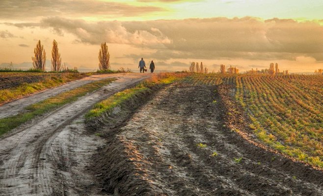 Летняя погода не собирается сдаваться на этой неделе