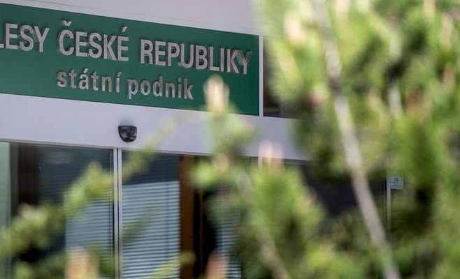 Прибыль предприятия, которое занимаются лесами Чехии в первом полугодии снизилась на 19 процентов