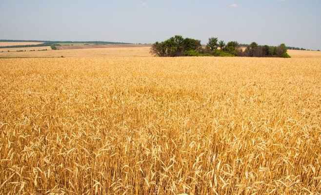 Сельскохозяйственная продукция из Украины не попадет в Словакию до конца года