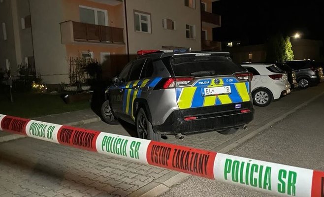 Мужчина в Словакии чистил охотничье ружье, шальная пуля убила молодую мать на соседней улице