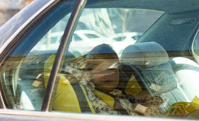 Американка оставила своего 10-месячного ребенка и собаку в раскаленной машине. Они погибли