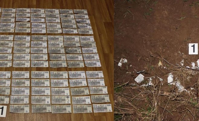 После столкновения с оленем автомобиль оказался в кювете. Полиция обнаружила на месте происшествия фальшивые деньги