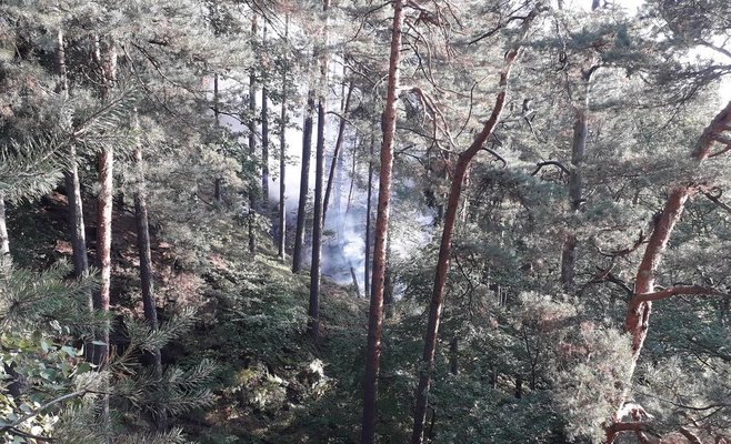 Пожарные все еще ликвидируют пожар в Чешской Швейцарии