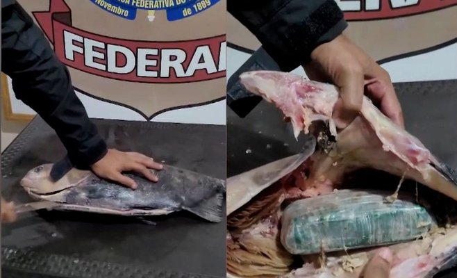 Бразильские полицейские были удивлены, обнаружив контрабандный кокаин