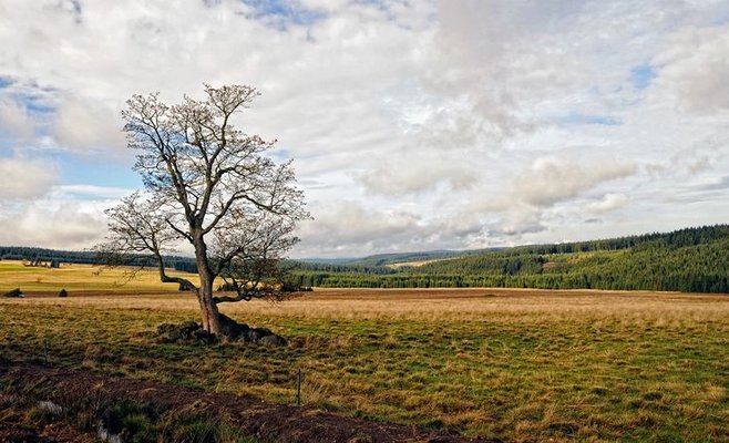 В выходные дни потеплеет. Перепады между западом и востоком страны могут достигать 15 градусов