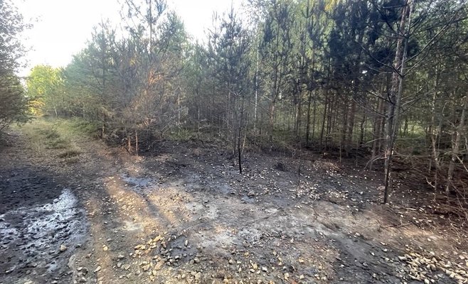 Мотивом убийства мэра было предположительно наследство. Суд заключил под стражу женщину и двух мужчин