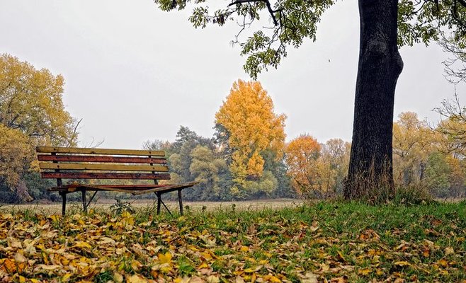 Приятные температуры еще сохранятся