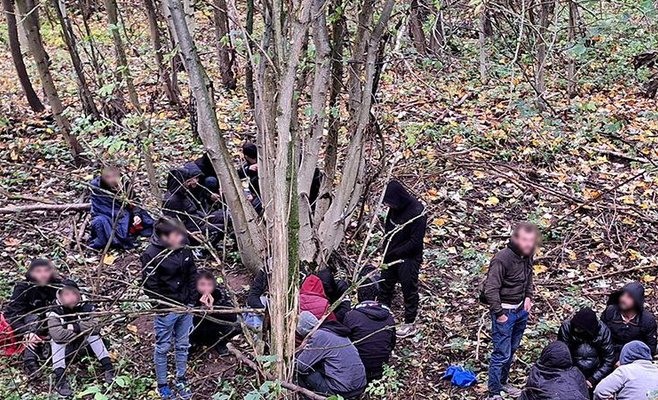 Грибник обнаружил мигрантов из Сирии в районе Шумперка