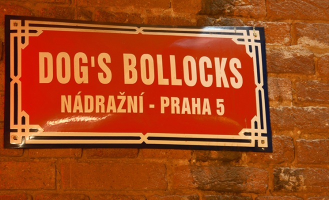 Dog's Bollocks