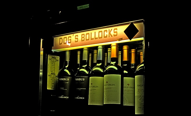 Dog's Bollocks