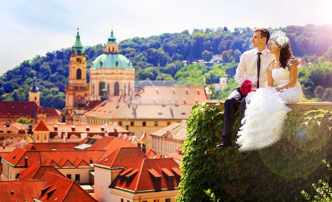 Большие перемены в ЗАГСах: повышение тарифо в 3 раза. Регистрировать партнеров будут везде