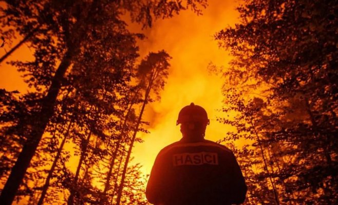 Человек, который поджег чешскую Швейцарию, знал, что делает. Ему грозит 15 лет тюрьмы