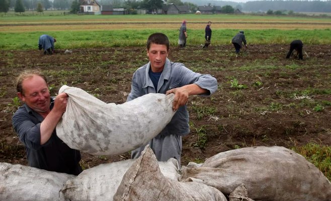 Украинцев не хватает, поэтому на чешские поля отправятся македонцы и молдаване