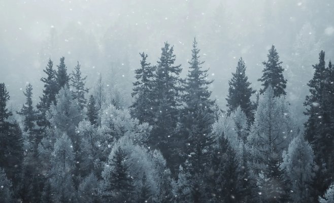 В выходные похолодает, а в субботу в горах выпадет снег