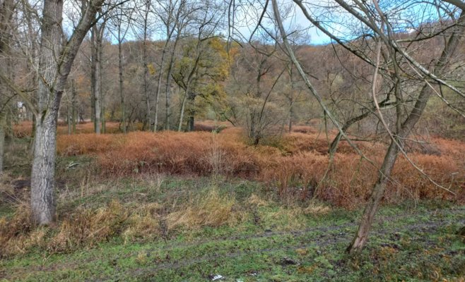 Обвинение по делу застреленного рыбака пока не предъявлено. Полиция освободила арестованного охотника, ожидаются заключения