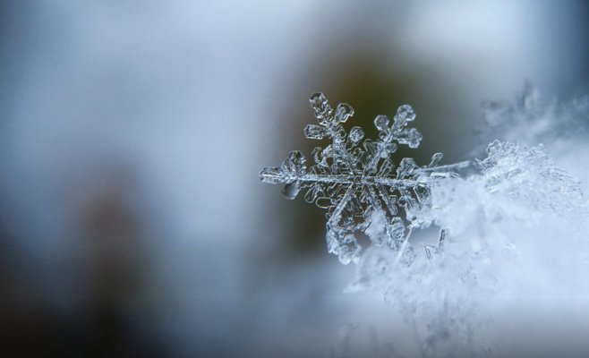 Предполагается, что будет еще холоднее. Ночью ожидается до минус десяти градусов