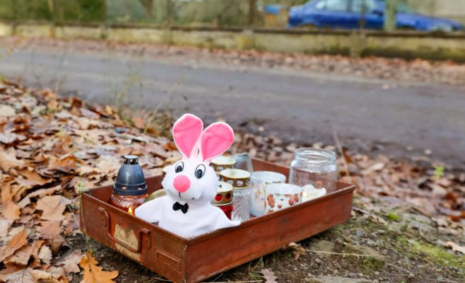 Мы еще не знаем убийцу из Клановицкого леса, признает полиция