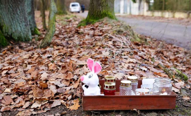 Мы еще не знаем убийцу из Клановицкого леса, признает полиция