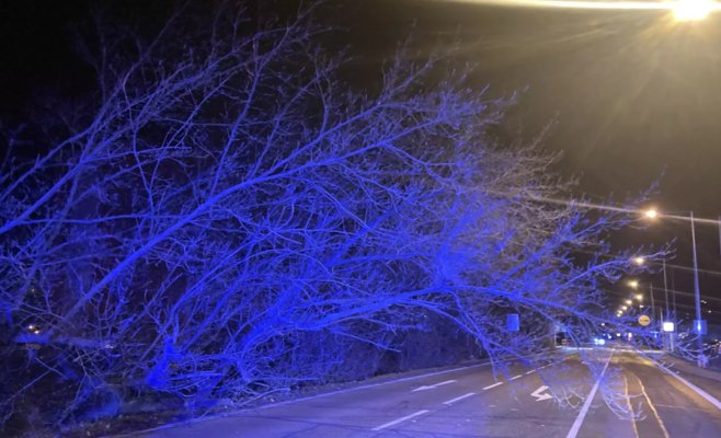 Сильные ветры, тысячи домов остались без электричества