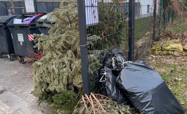 Пражские коммунальные службы убирают с улиц тысячи рождественских елок